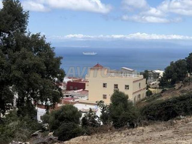Propriété vente à El Fahs, Tanger-Tétouan