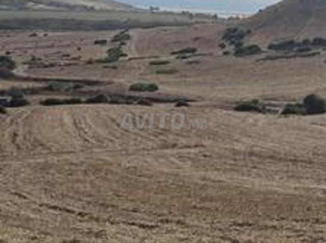 Propriété vente à Assilah, Tanger-Tétouan