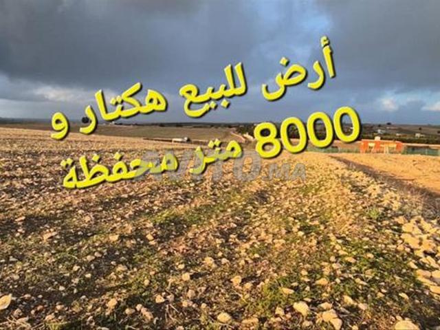 Propriété vente à El Ma, Gharb-Chrarda-Beni Hssen