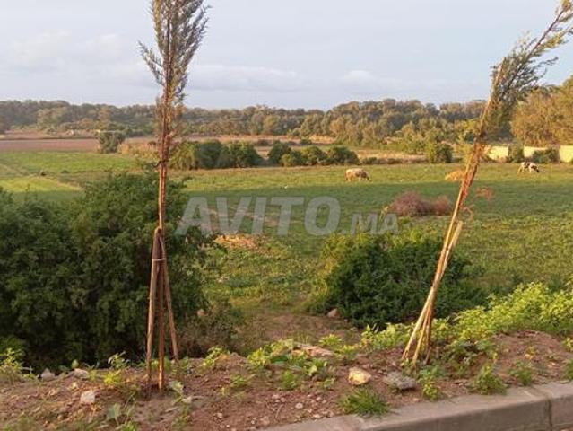 Propriété vente à El Ma, Gharb-Chrarda-Beni Hssen