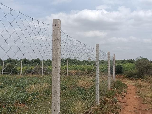 Terrain vente à Afourar