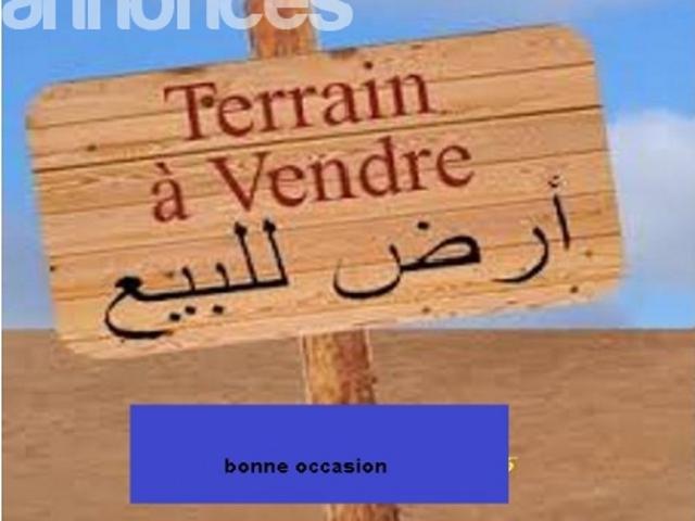 Terrain vente