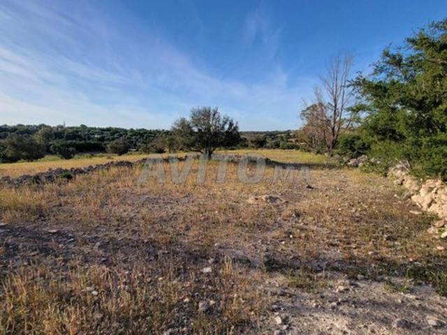 Propriété vente à Essaouira, L'Oriental