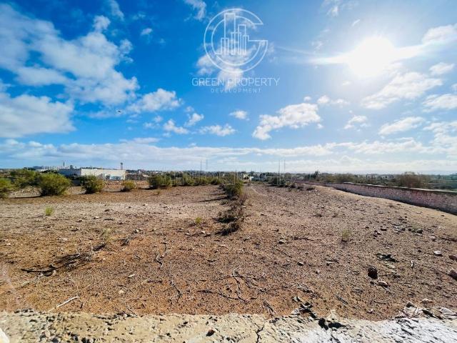 Terrain vente à Essaouira, L'Oriental