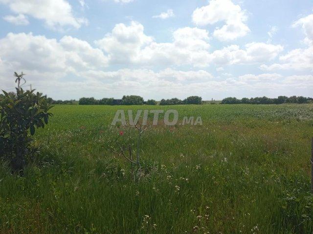 Propriété vente à El Ma, Gharb-Chrarda-Beni Hssen