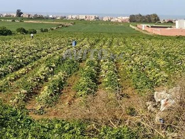 Propriété vente à Berrechid, Gharb-Chrarda-Beni Hssen