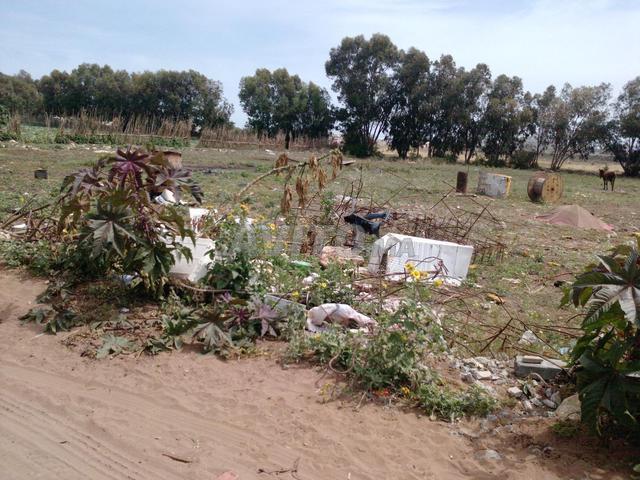 Propriété vente à Dar Bouazza, Gharb-Chrarda-Beni Hssen