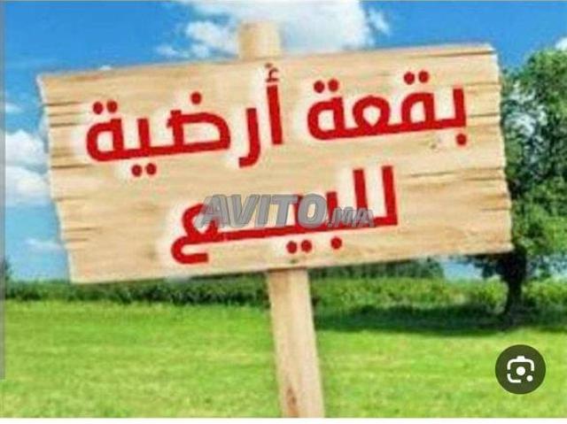 Propriété vente à Tiznit, Oued ed Dahab-Lagouira