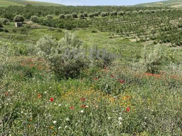 Propriété vente à Fès