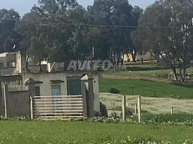 Propriété vente à Salé