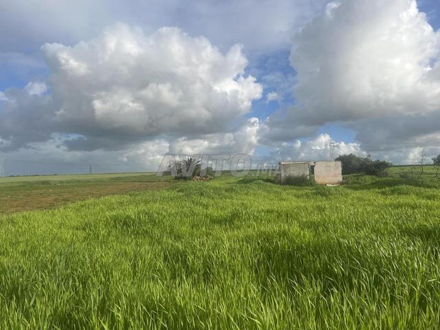 Propriété vente à Mohammedia, Gharb-Chrarda-Beni Hssen