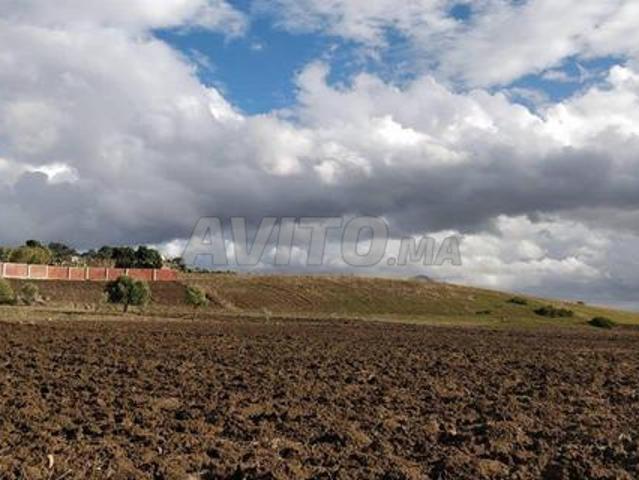 Propriété vente à Martil, Tanger-Tétouan