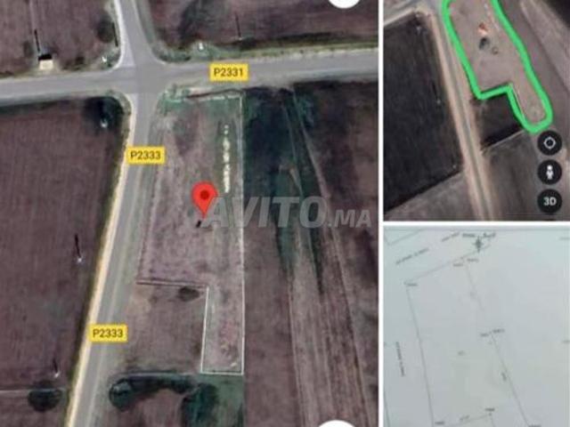 Propriété vente à Saf, L'Oriental