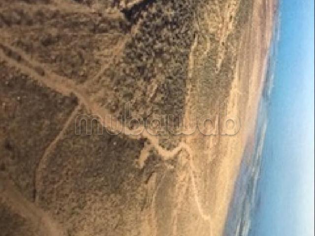 Terrain vente à Tiznit
