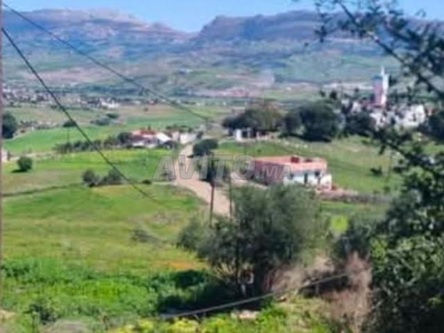 Propriété vente à Tétouan, Tanger-Tétouan