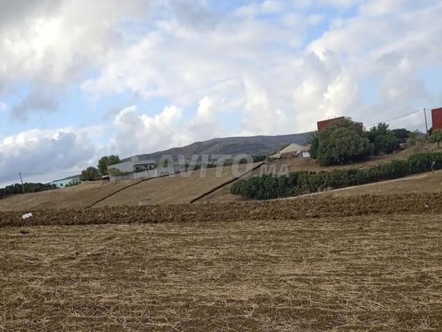 Propriété vente à Tétouan, Tanger-Tétouan