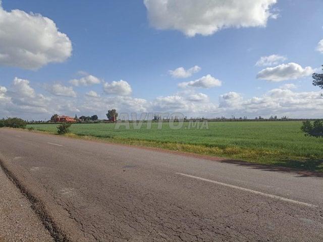 Propriété vente à Slimane, Gharb-Chrarda-Beni Hssen