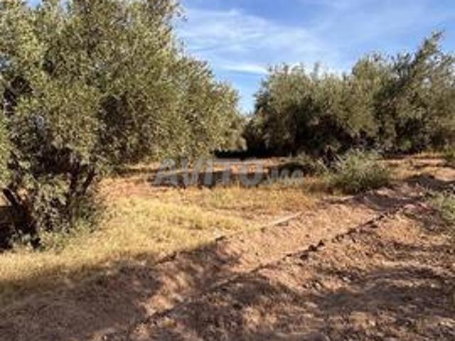 Propriété vente à Fès