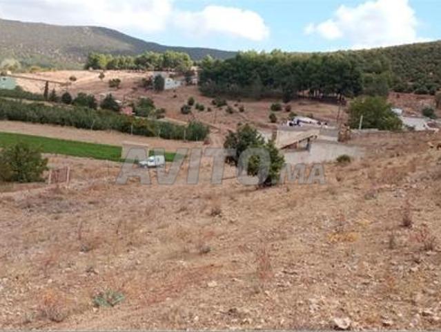 Propriété vente à Imouzzer Des Ida Ou Tanane, Oued ed Dahab-Lagouira