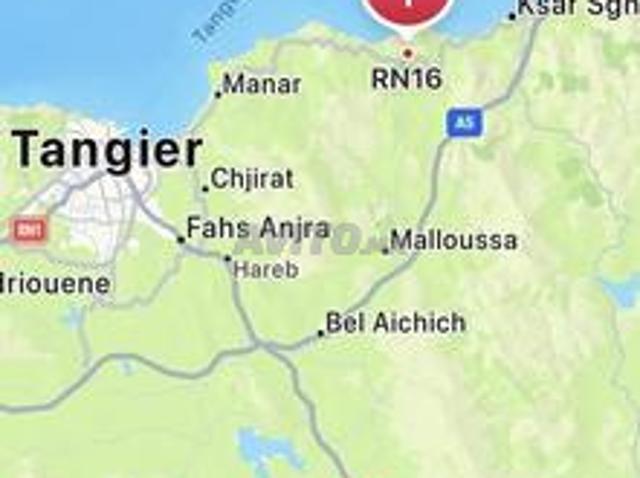 Propriété vente à El Fahs, Tanger-Tétouan