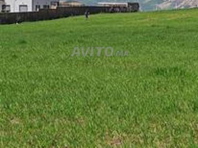 Propriété vente à Ain Taoujdat