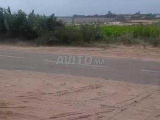 Propriété vente à El Ma, Gharb-Chrarda-Beni Hssen