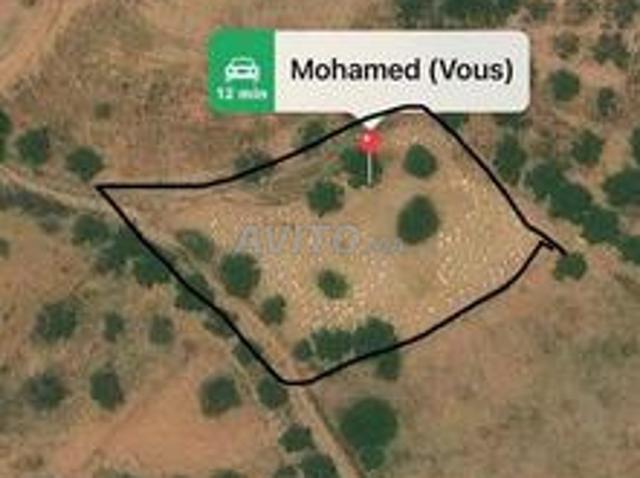 Propriété vente à Ouarzazate