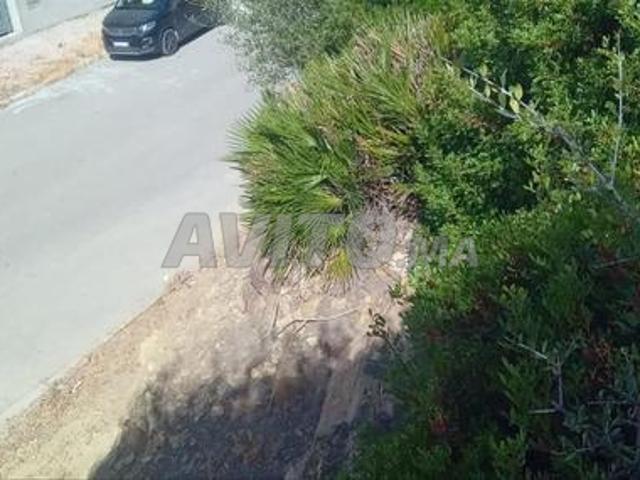 Propriété vente à Tangero, Tanger-Tétouan