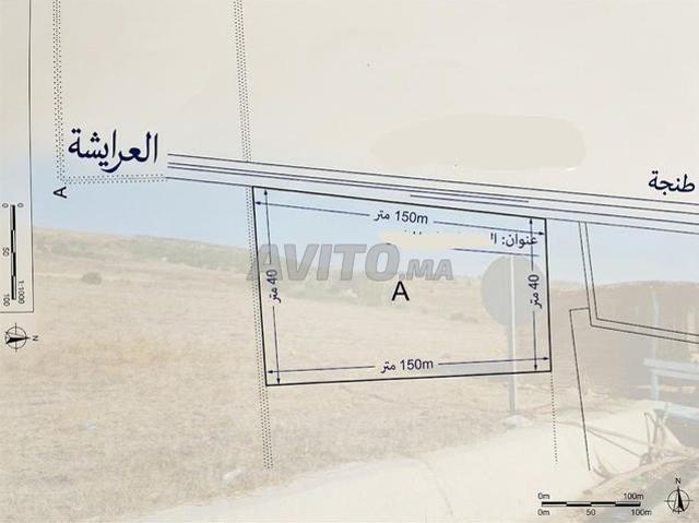 Propriété vente à Assilah, Tanger-Tétouan