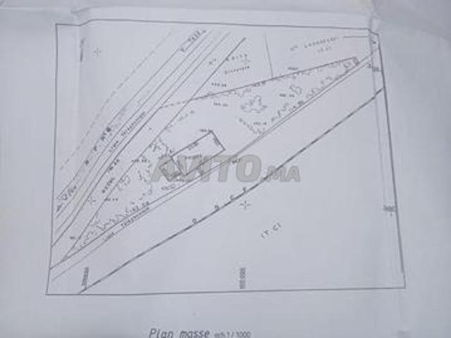 Propriété vente à Oued Amlil