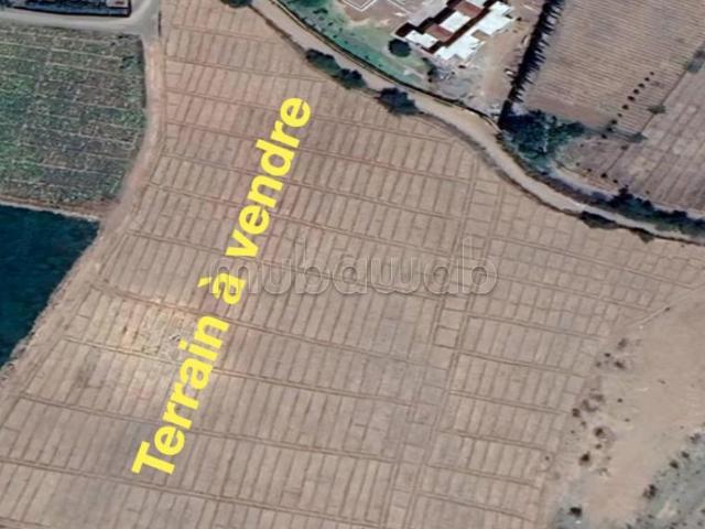 Terrain vente à Oulad Hassoun, L'Oriental