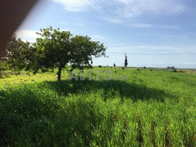 Propriété vente à El Ma, Gharb-Chrarda-Beni Hssen