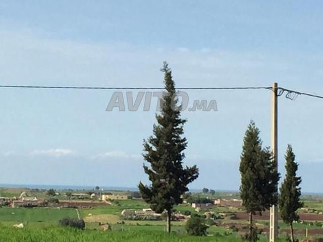 Propriété vente à pachalik d'El Jadida ⵍⵊⴰⴷⵉⴷⴰ الجديدة, Province d'El Jadida إقليم الجديدة
