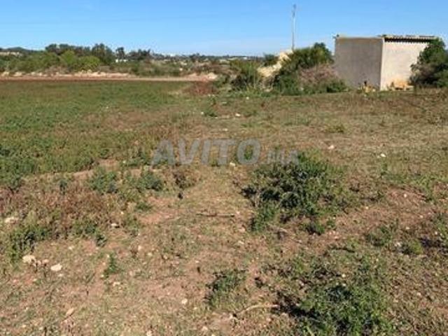 Propriété vente à El Ma, Gharb-Chrarda-Beni Hssen