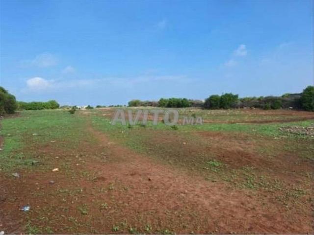 Propriété vente à El Ma, Gharb-Chrarda-Beni Hssen