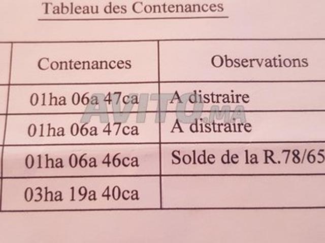Propriété vente à Al Haouz, L'Oriental