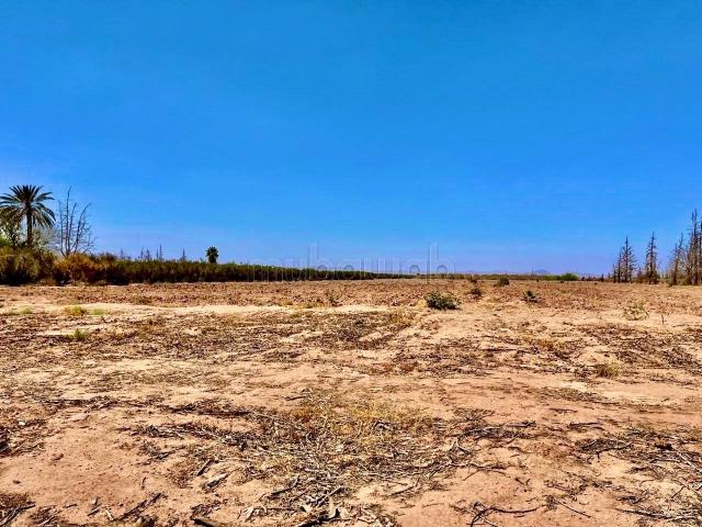 Terrain vente à Tassoultante, L'Oriental