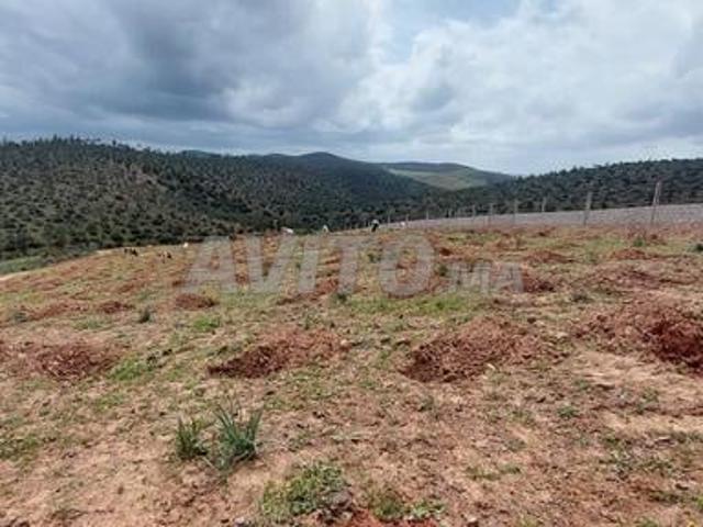 Propriété vente à Slimane, Gharb-Chrarda-Beni Hssen