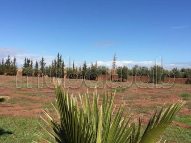 Terrain vente à Marrakech, L'Oriental