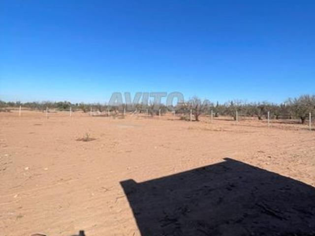 Propriété vente à Al Haouz, L'Oriental