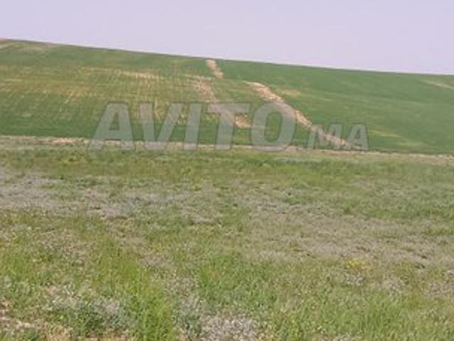 Propriété vente à Boumia