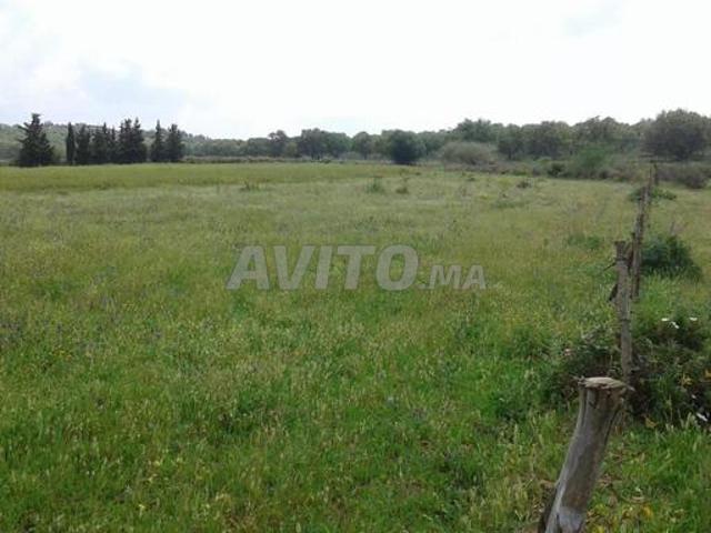 Propriété vente à Slimane, Gharb-Chrarda-Beni Hssen