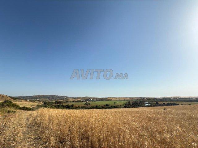 Propriété vente à Assilah, Tanger-Tétouan