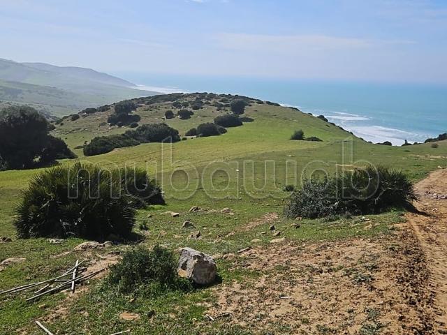 Terrain vente à Assilah, Tanger-Tétouan