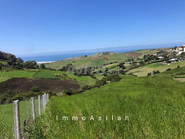 Propriété vente à Assilah, Tanger-Tétouan