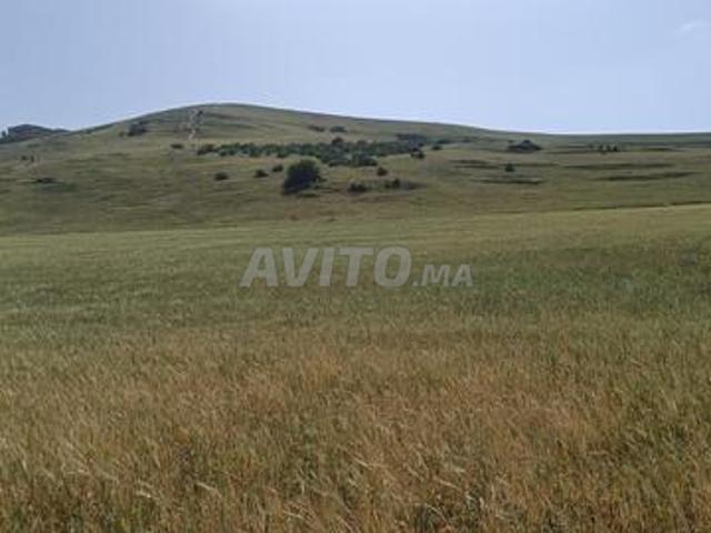 Propriété vente à Had Soualem, Gharb-Chrarda-Beni Hssen