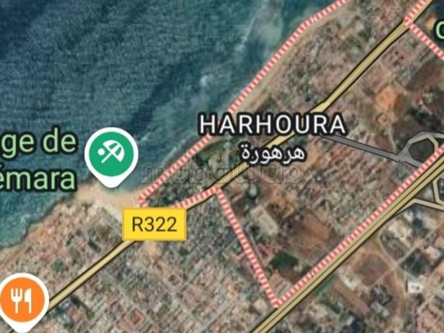 Terrain vente à Témara, Rabat-Salé-Zemmour-Zaër