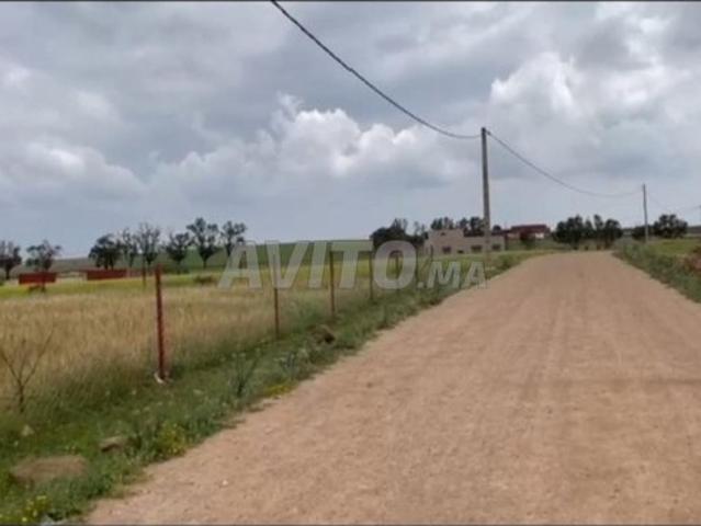 Propriété vente à El Ma, Gharb-Chrarda-Beni Hssen