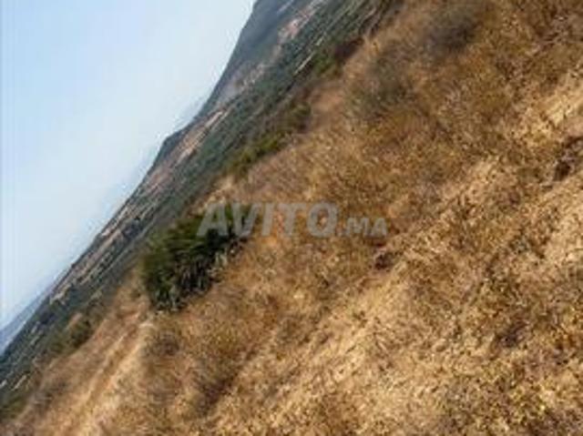 Propriété vente à Fnideq, Tanger-Tétouan