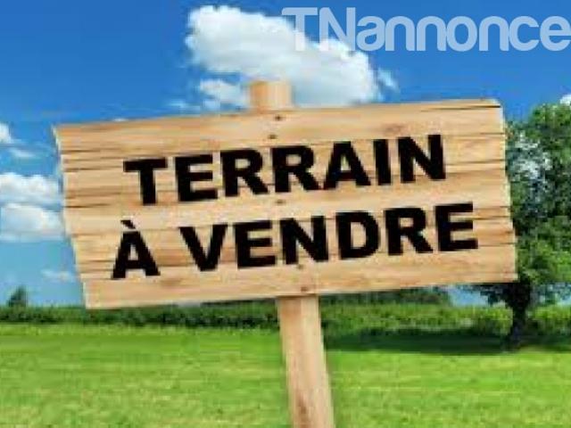 Terrain vente